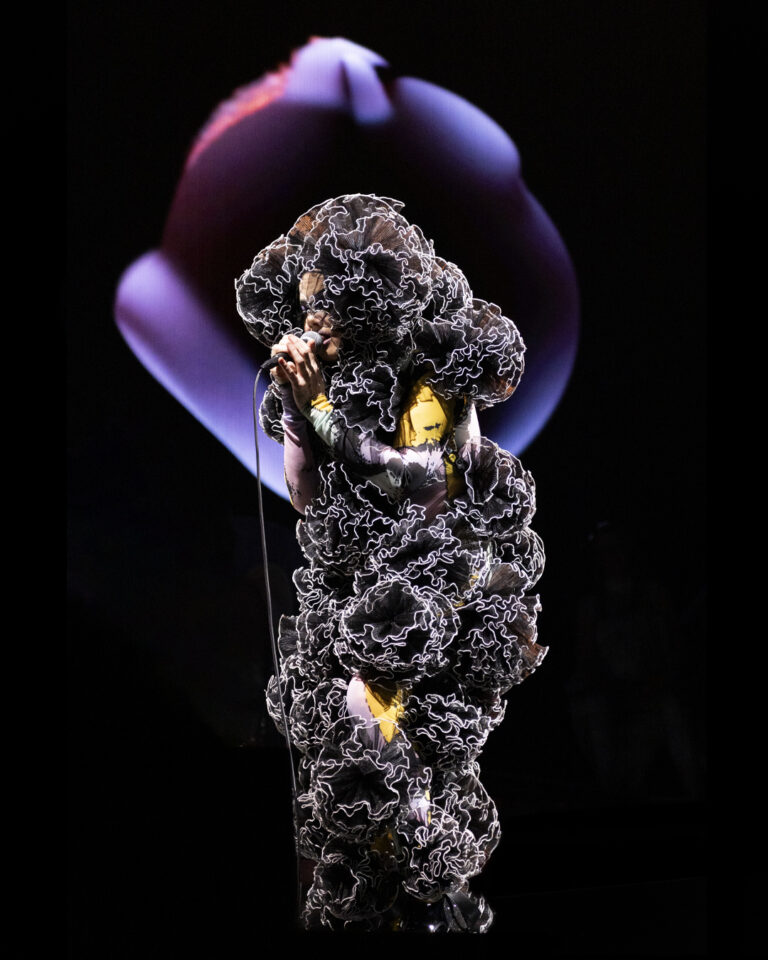 圧倒的没入感！コンサート映画『ビョーク：コーニュコピア』、大好評の中、6/6の上映権利終了前に、沖縄と立川でも公開が決定しました。ビョークの歌声と想像を超える映像美を最高の環境でお楽しみください。のメイン画像