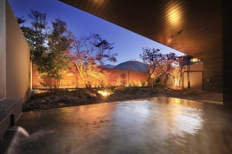 【温泉旅×アート体験】箱根の宿が美術館とコラボ！観光を手軽に愉しめるチケット付きプラン販売開始のメイン画像