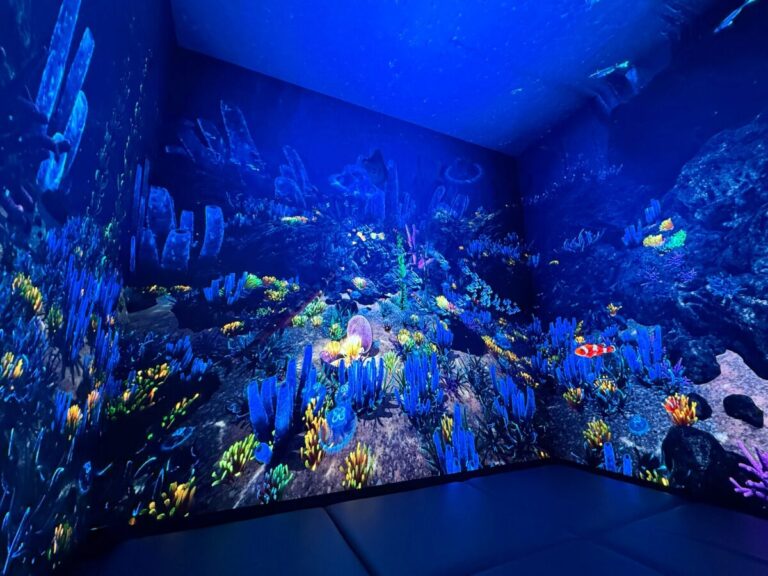 デジタルアート制作会社【C&】ホテルにイマーシブ空間を＜海中3D映像を新発表＞のメイン画像