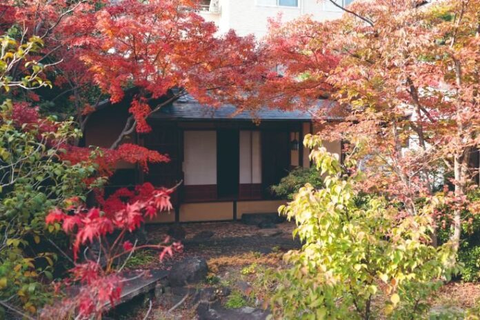 【2/21（土）】岩田家旧蔵品の特別オークションが開催決定のメイン画像