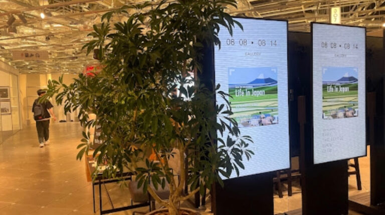 【ハラカド×2.5次元アート】世界的デジタルアーティストGrant Yun日本初個展を開催のメイン画像