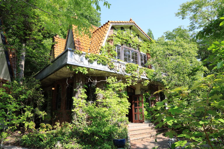 【広島／世羅】かめいち堂絵本原画展　10月10日～13日は在廊とミニ原画オーダー会《森と花の絵本ミュージアムGarden Lei》のメイン画像