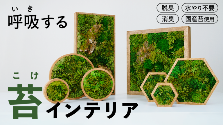 Makuakeにて開始わずか5分で目標達成！植物のインテリア革命。絵画や観葉植物に代わる、新しい選択肢――それがKOKE。【3/28より先行発売スタート】のメイン画像
