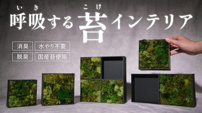 112327_8_main 水やり不要の天然苔インテリア「KOKE」第三弾が登場。KOKE TILEとBLANK TILEで“余白までデザインする”新しい楽しみ方を提案のメイン画像