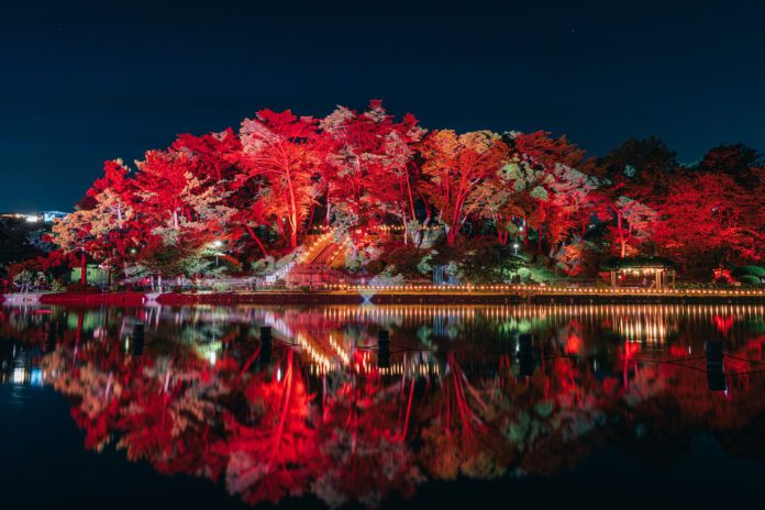 今年は「雨のサーカス団」がやってくる！８回目となるナイトアートフェスYohaS 2025が千葉公園にて開催のメイン画像