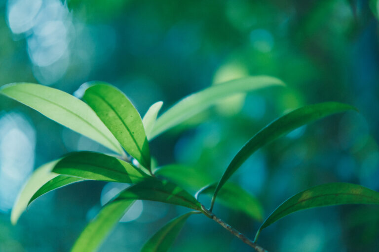 和歌山県南紀白浜「くろしお想」 で、和歌山を自然を切り取った写真展示を開催のメイン画像