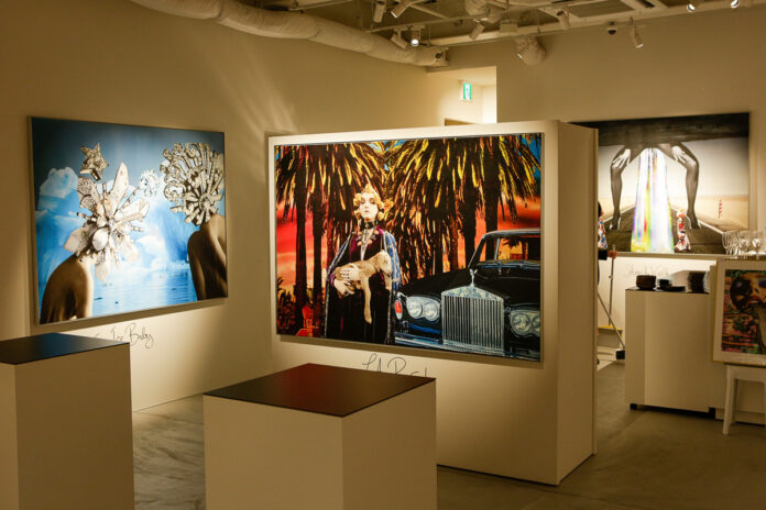 SHAWN HOLLY SOLO EXHIBITION “SHARE THE WEALTH/共有”とサロン覺のコラボレーションメニューを公開！のメイン画像