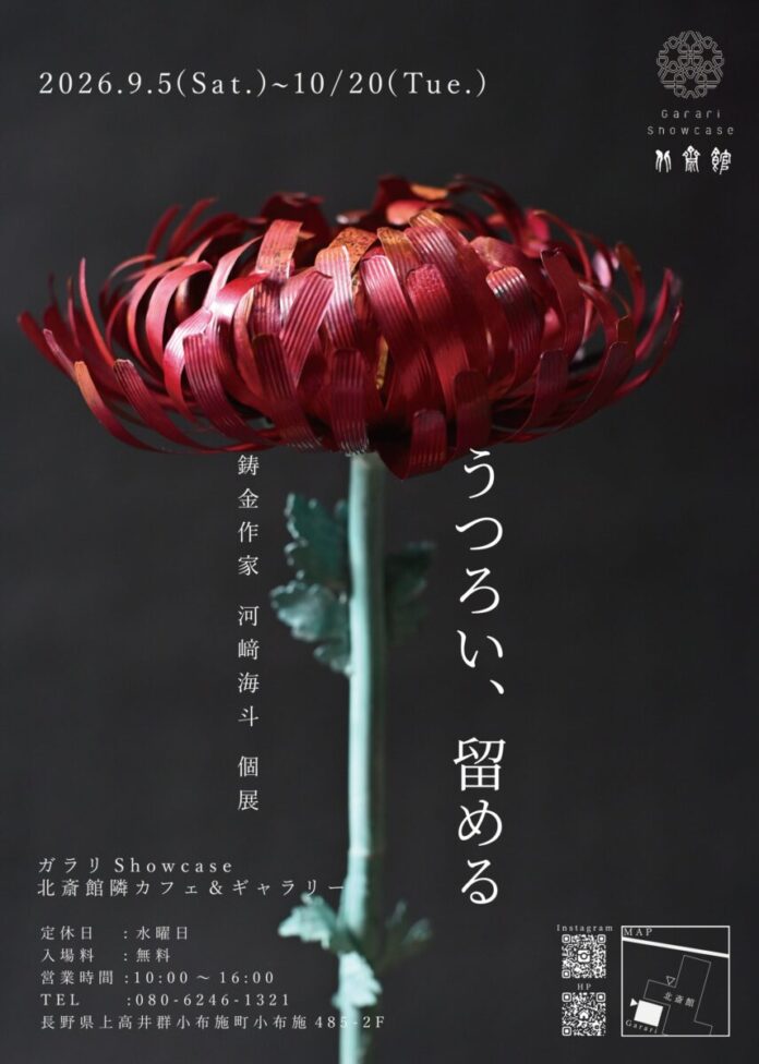 116693_46_main 【河﨑海斗個展|小布施町】うつろい、留める 北斎が描いた小布施の菊「巴錦」を、鋳金作家が金属でよみがえらせる/北斎館ガラリShowcase 9月4日よりのメイン画像