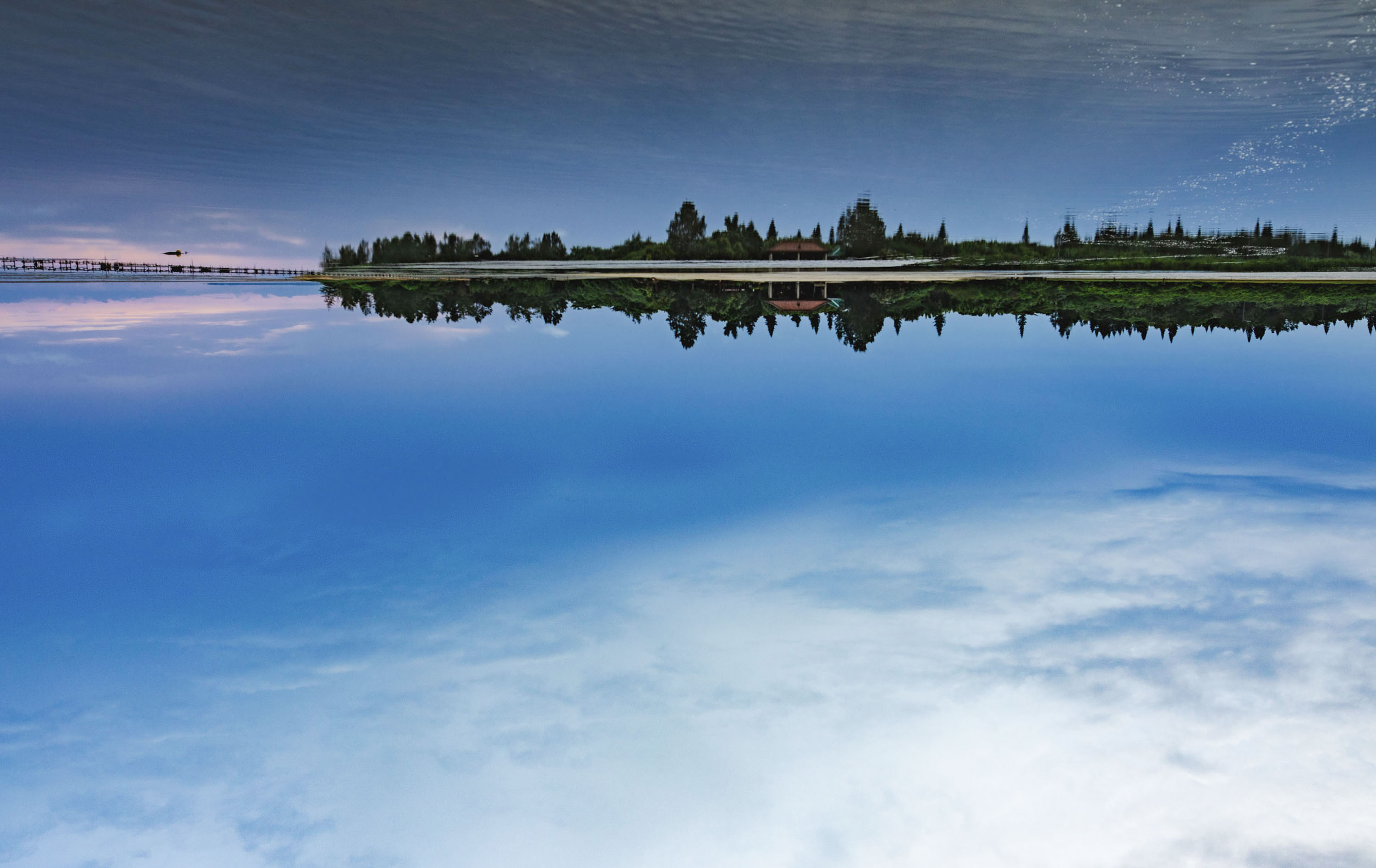 「Iriomote Art Landscape by Jiro Konami 」小浪次郎が西表島で撮影した写真展を台北で開催。のサブ画像2