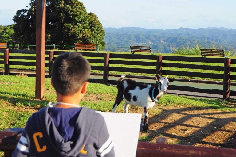 【芸術の秋】参加小学生は、マザー牧場入場料が“無料”になる嬉しい特典も！「第23回 秋のこども写生大会」9月1日スタート！のメイン画像