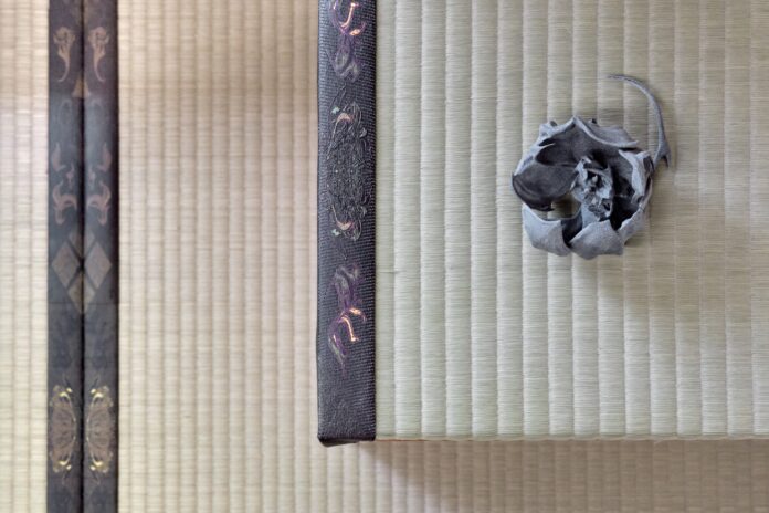 アーティスト 中西伶×創業120年の老舗 田中疊店 アートプリントを施したオリジナル畳を初公開のメイン画像
