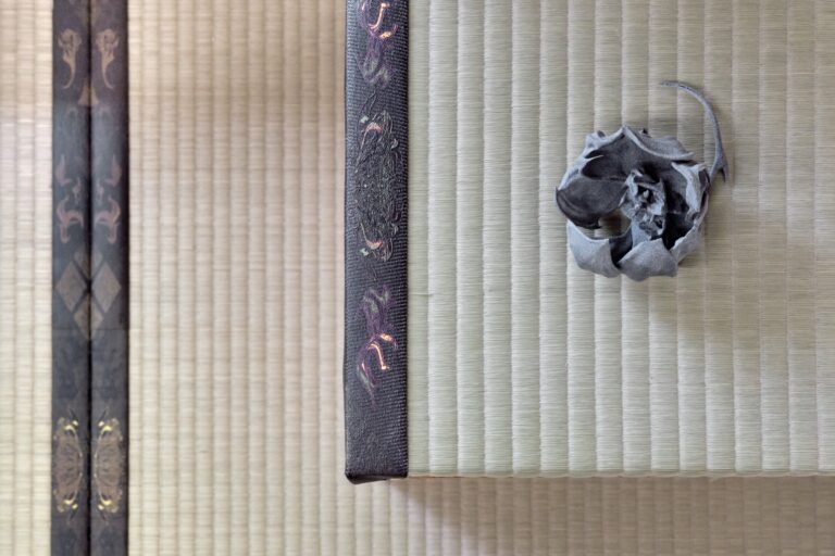 アーティスト 中西伶×創業120年の老舗 田中疊店 アートプリントを施したオリジナル畳を初公開のメイン画像