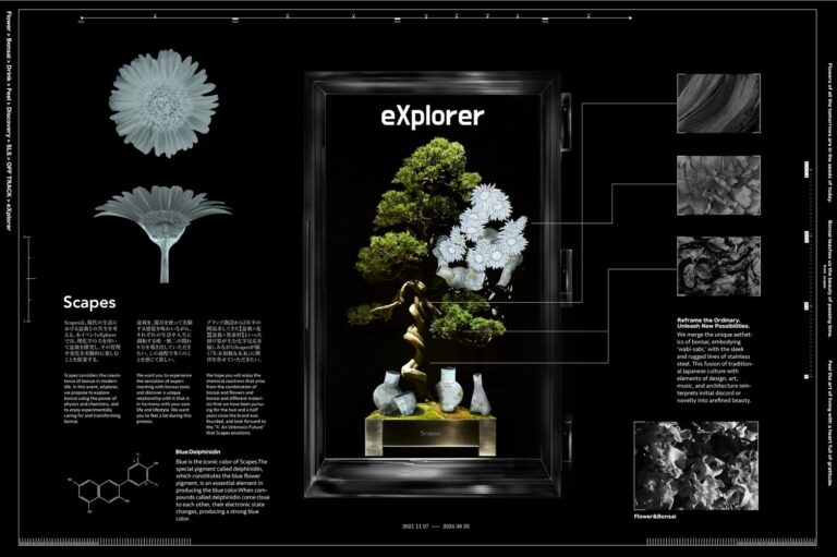 【関西初出店】"違和感や発想を美しさに変える" 新進気鋭の盆栽ブランドScapesが、阪急梅田本店にて期間限定イベントを開催決定。のメイン画像