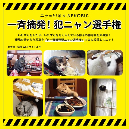 猫アートが大集合するpixiv『ニャーと！展』に、猫部コラボグッズが登場！2025年1月から有楽町マルイにて開催決定！のサブ画像6