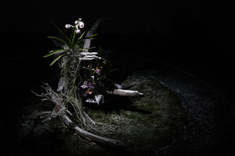 花人/空間芸術家　熊野寿哉　ベルリン・アート・ウィーク2024に参加決定です。のメイン画像