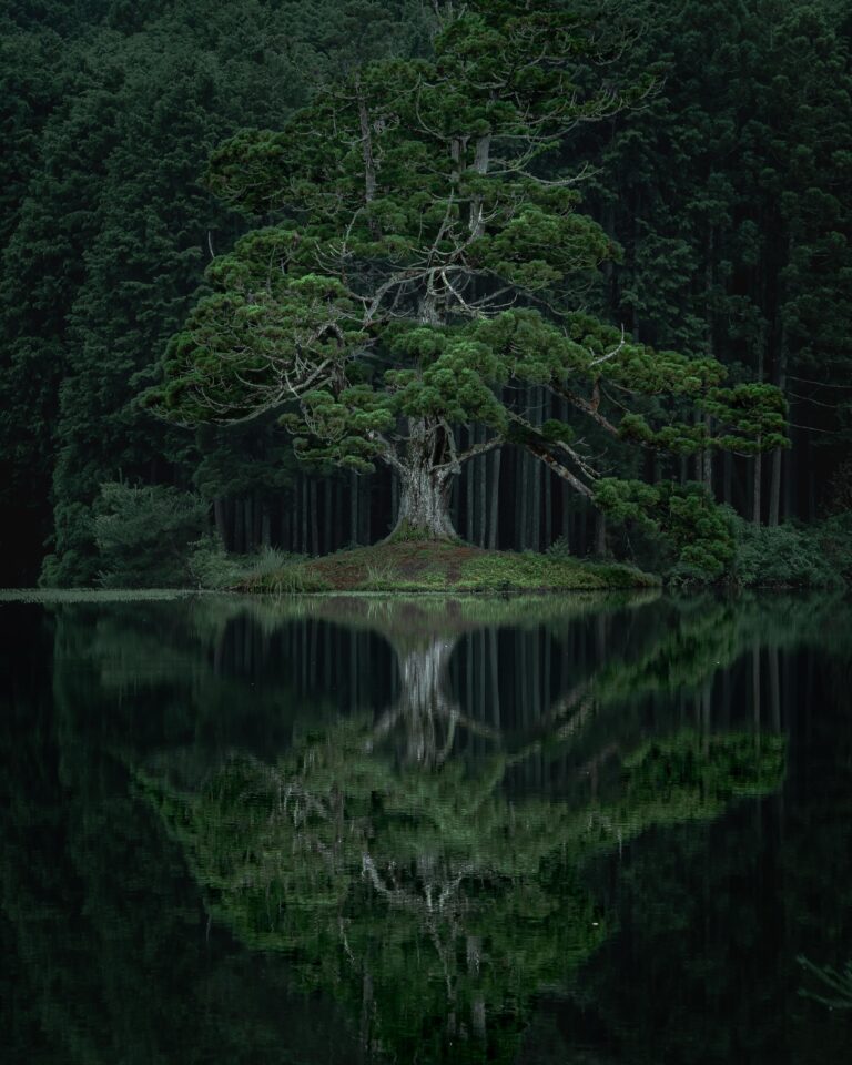 IWATA 「日本の四季フォトコンテスト」結果発表　季節のうつろいが感じられる素敵な作品が集まりましたのメイン画像