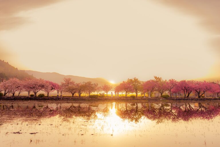 IWATA 「二十四節気フォトコンテスト」結果発表。季節の変わり目”を感じる一瞬を捉えた素敵な作品が集まりました。のメイン画像