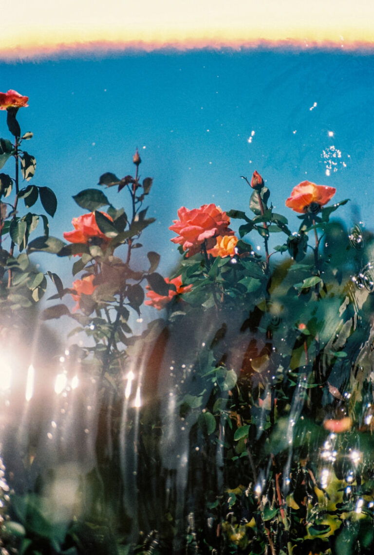 OSAJI（オサジ）初となるギャラリーの柿落としを飾るのは、写真家・大矢真梨子の個展「Inner Garden」。2026年4月25日（土）より、京都「お匙 京都」にて開催。のメイン画像