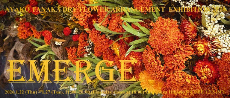 渋谷ヒカリエ8/CUBE 1,2,3で開催｜花のアート「EMERGE（エマージ）」展｜アヤコタナカドライフラワーアレンジメントのメイン画像