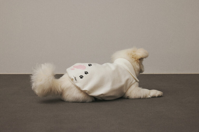 「INUS」✕「Motoki Shiozawa」コラボレーション商品発売！ユニークでファッショナブルなイラストが魅力の新アイテムが登場。のメイン画像