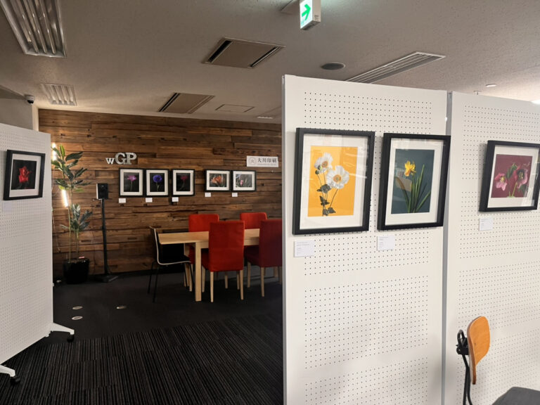 【社会課題解決型スタジオ「with GREEN PRINTING」横浜】　　今井俊志写真展『Natural/Artificial』2月3日（月）より開催中。のメイン画像