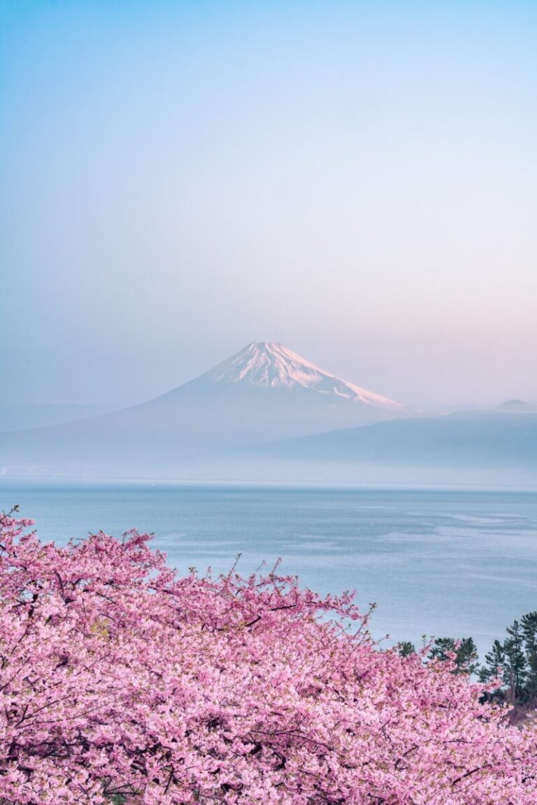 2026年4月特設展示Photographer Sho氏の作品を本展にて展示のメイン画像