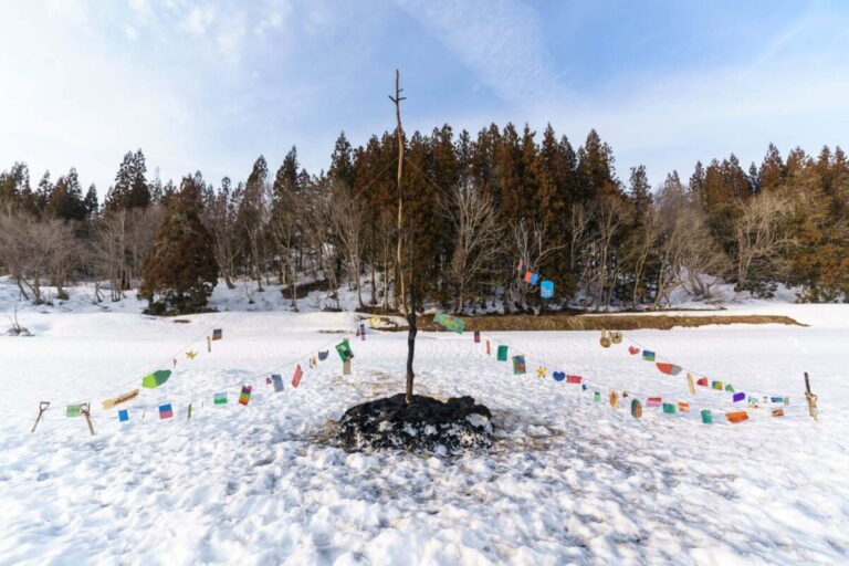 山形の絶景「白川湖の水没林」のほとりで、アート展を開催！飯豊町 木の作り手プロジェクト「数馬の森びらき」のメイン画像