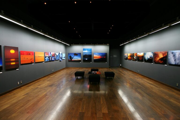 キヤノンギャラリー銀座・大阪で開催する写真展の公募受付を2月1日より開始のメイン画像