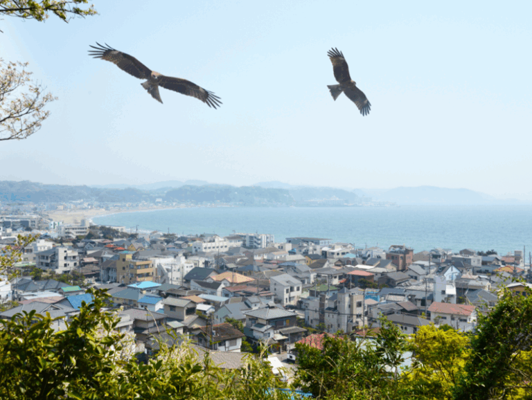 鎌倉発信。アート×社会実装の新プロジェクト「Aoe」。女性アーティストとクリエイターの魅力を解き放ち、美しく自生し共生する社会を目指すHUG FOR＿. の 新たな取り組みが始まります。のメイン画像