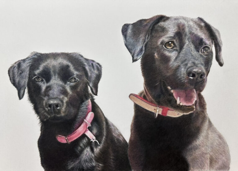 ペットロスに寄り添う『色鉛筆で甦ったうちの子アート展』を納骨堂「瑞華院 了聞」で初開催 ― 9月19日（金）から25日（木）までのメイン画像