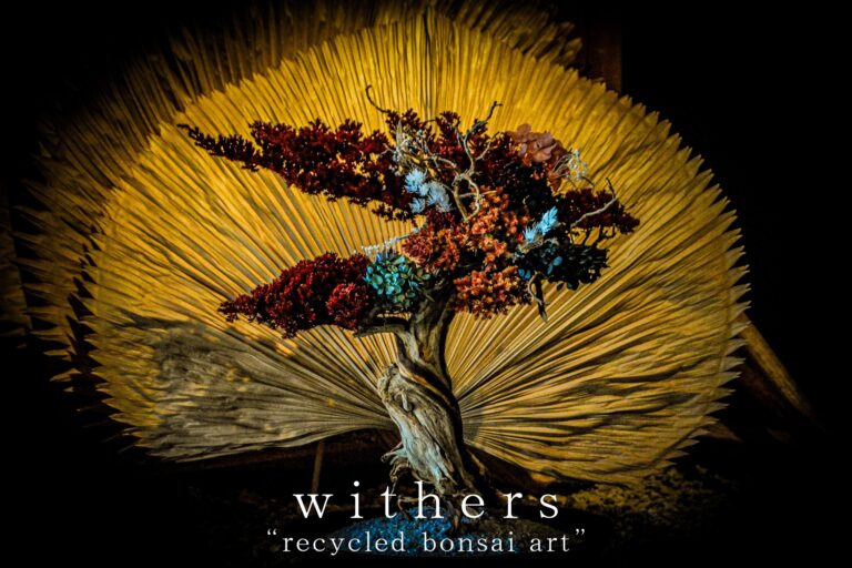TAIZAN ─ 事業譲渡契約を締結し、再生盆栽ブランド「WITHERS」をグループ化 ─ TAIZANグループは、「過去・現在・未来」すべての時間軸を内包し、究極のサステナブルアート事業を始動のメイン画像