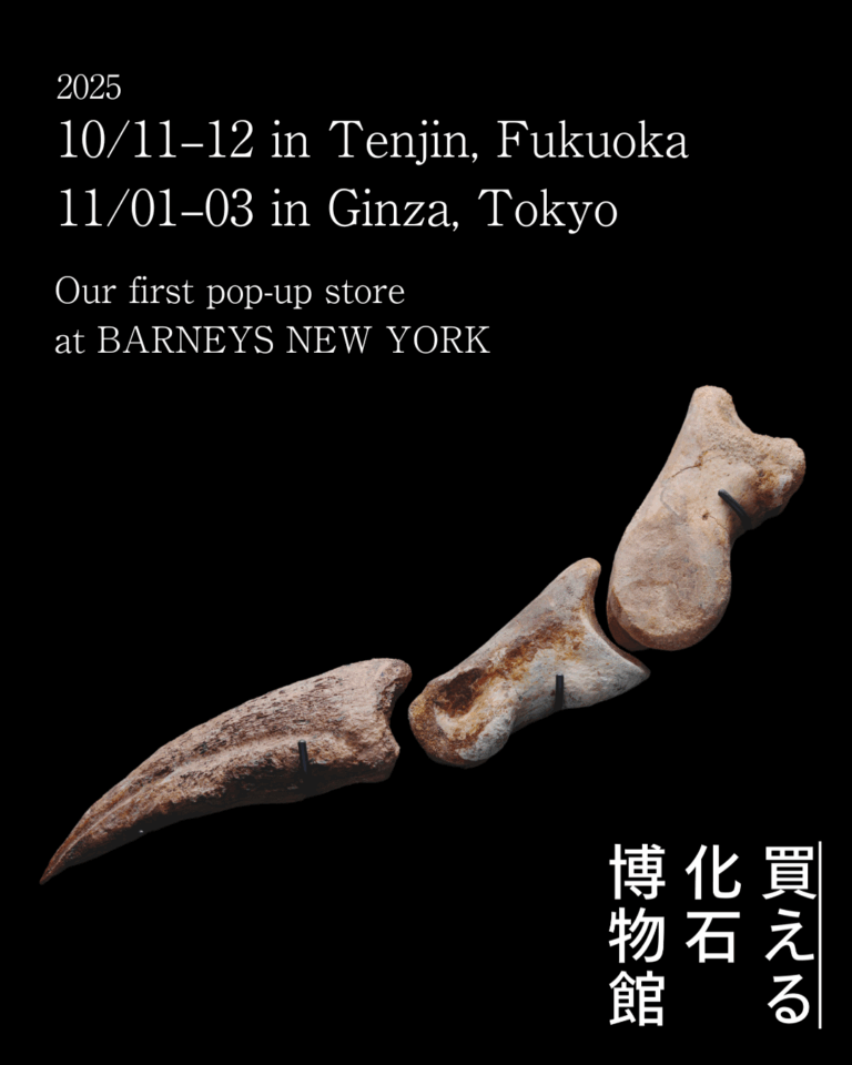 【東京＆福岡】本物の恐竜、古生物の化石が購入できる「買える化石博物館」初のポップアップをバーニーズニューヨーク銀座本店、福岡店にて2025年10月＆11月に開催のメイン画像