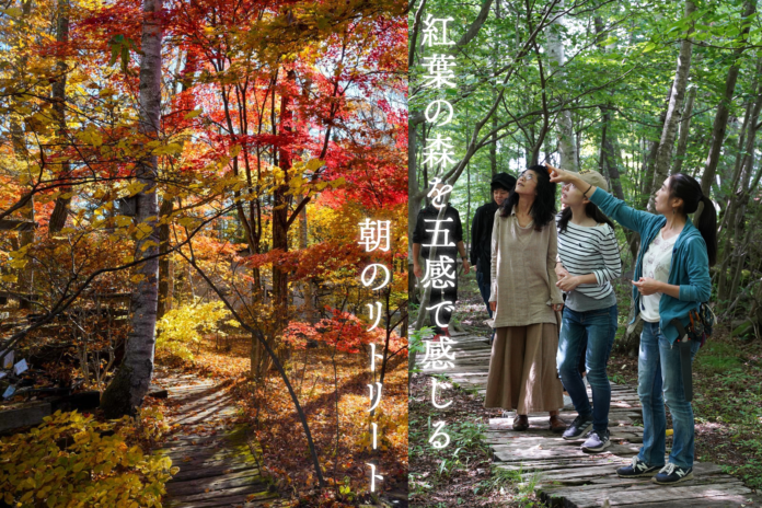 【山梨・八ヶ岳】標高1,360ｍ・ひと足早く紅葉に染まる森の庭で「朝のリトリート体験」を開催のメイン画像