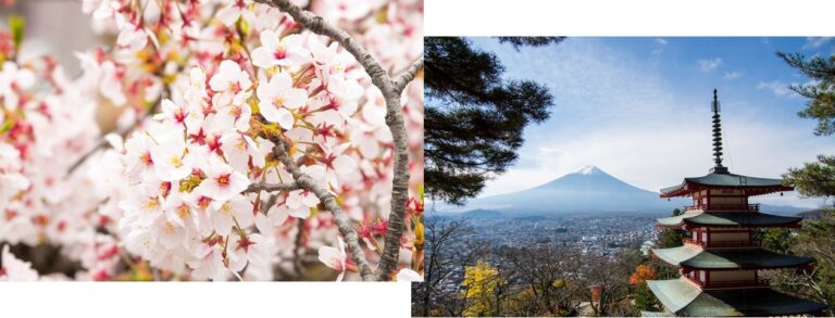 総合PR企業が本気で開発したデジタル広報プラットフォーム PRESS CAMP（プレスキャンプ）『インバウンドプロモーション』 サービス開始のメイン画像