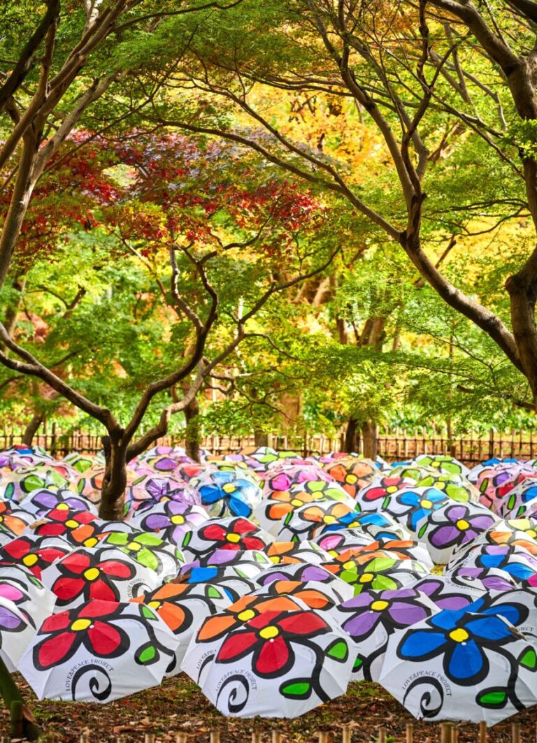 【水の家✖️芸術家ミレイヒロキ】伊豆高原五月祭にて大規模インスタレーションを開催「つながり・環境と生命」のメイン画像