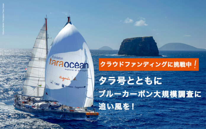 153009_17_main 8年ぶり来日・科学探査船タラ号を機に日本沿岸ブルーカーボン大規模調査継続へのメイン画像