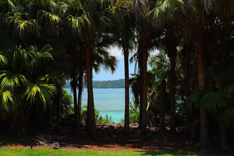 奄美大島の危機を脱するため、文化芸術活動を推進　「泊まれるアートミュージアム 琉球ヴィラ」がアーティスト・イン・レジデンス（※）設立のメイン画像