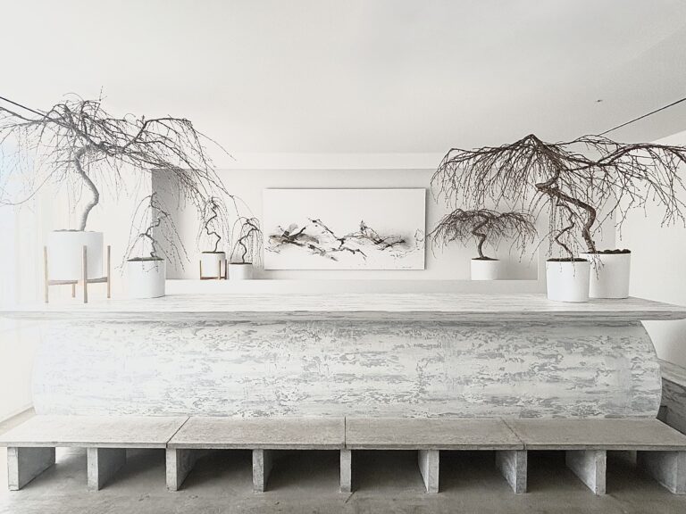 水墨画家・湊由妃 &プラントハンター・西畠清順インスタレーション展覧会のメイン画像