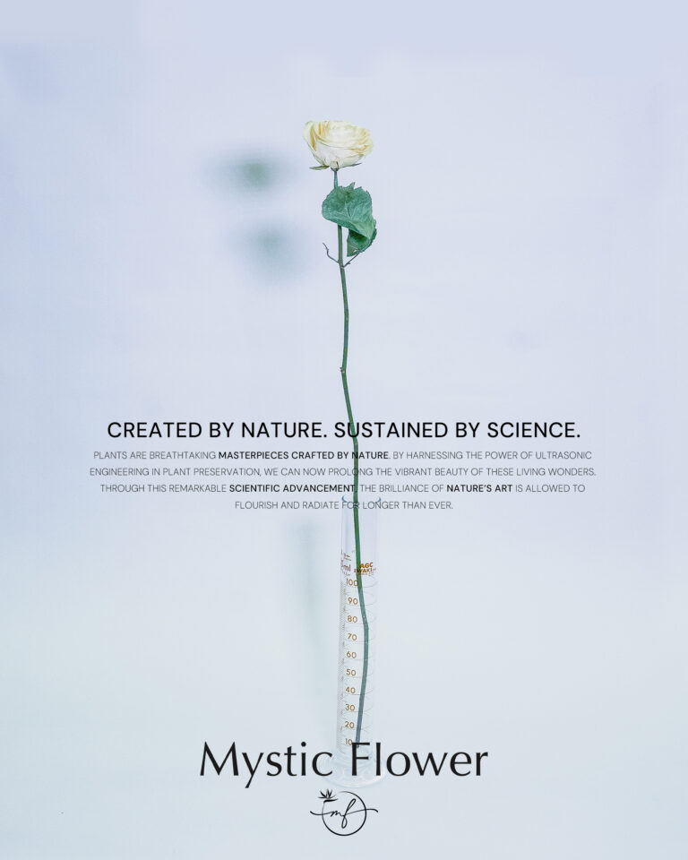 世界初。超音波技術を駆使した革新的な花の保存技術が登場 。[ Mystic Flower (ミスティックフラワー)]自然とテクノロジーの融合が織りなす新たなアート。のメイン画像