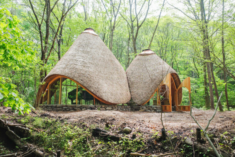 創造性を解き放ち、“自分のまんなか”に戻る。1日ひとり限定の森のアトリエ『森と、ピアノと、　』が2025年度グッドデザイン賞を受賞のメイン画像