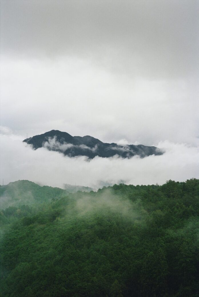 Henry Roy DEVOTIONのメイン画像