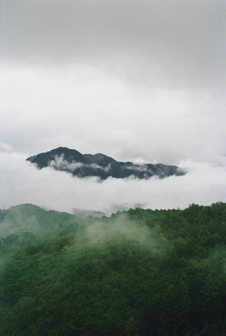 Henry Roy DEVOTIONのメイン画像