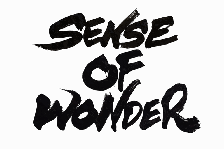 書道をアパレルに。世界を目指す若き書道家×THEATERのメイン画像