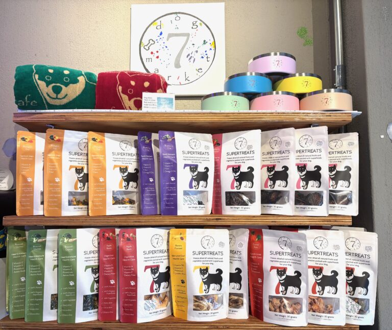 【横浜発】カルチャーカフェ「7artscafe」がスーパーフードを軸にした革新的ライフスタイルブランドを展開のメイン画像