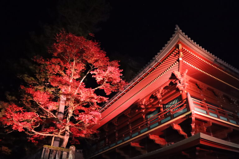 日常を忘れて心と身体を満たす、日光で過ごす贅沢な秋のメイン画像