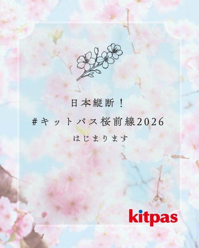 桜前線とともに日本をピンクに。 窓に描く参加型アート企画「#キットパス桜前線2026」始動のメイン画像