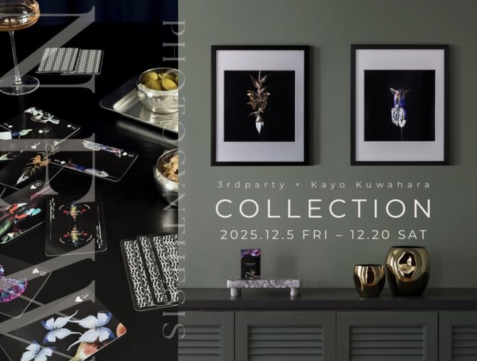 3rdparty × Kayo Kuwahara PHOTOSYNTHESIS　　　　　 COLLECTION｜2025.12.5 – 12.20のメイン画像