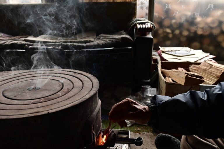 THE GALLERY企画展　山口 規子　写真展　「KIKORI 木は長い夢を見る」 を開催のメイン画像
