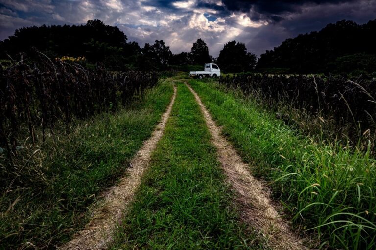 THE GALLERYセレクション展　西村 仁見　写真展　「Kトラ物語　K-TRUCK DREAMY」 を開催のメイン画像