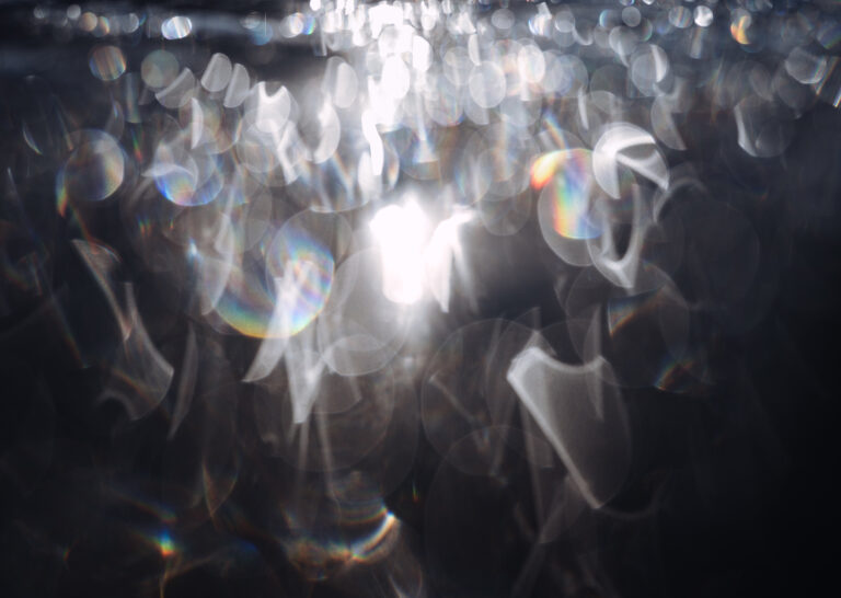 THE GALLERYセレクション展　広谷 勇樹　写真展　「羽化、環の狭間にたゆたう」を開催のメイン画像